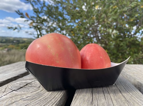 Ferme Sinsac - Tomates Rose de bern coeur de boeuf en barquette de 1kg