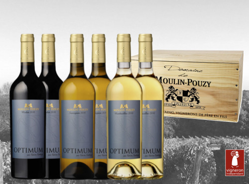Vignobles Fabien Castaing - Caisse Bois Optimum Grands Vins Domaine de Moulin-Pouzy