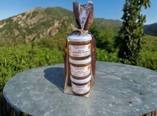 Les ruchers du Tavignanu - Coffret 3 Miels AOP Miel de Corse