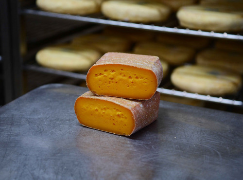 Alléosse Maitre Artisan Affineur Fromager - Brique des Flandres - Pavé de Calais (Entier)