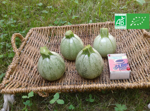 LES JARDINS DE KARINE - Courgette 'Ronde de Nice' petite - 1kg