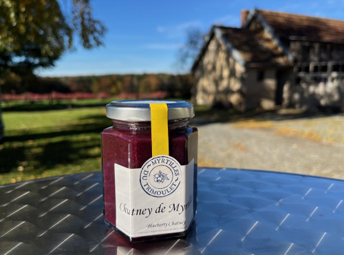 Myrtilles du Trimoulet - Chutney Myrtilles - 180g