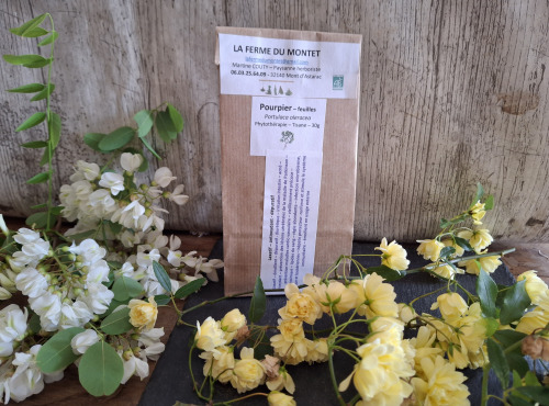 La Ferme du Montet - Pourpier - Portulaca oleracea - feuilles - BIO 30g