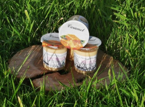 Ferme Dumesnil - Crème Dessert Caramel au Beurre Salé