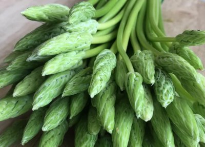 ChâteauFer - Asperge des bois