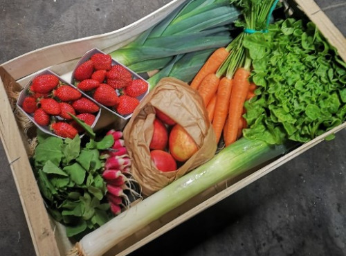 Le Châtaignier - Panier De Fruits Et Légumes - 6,5kg