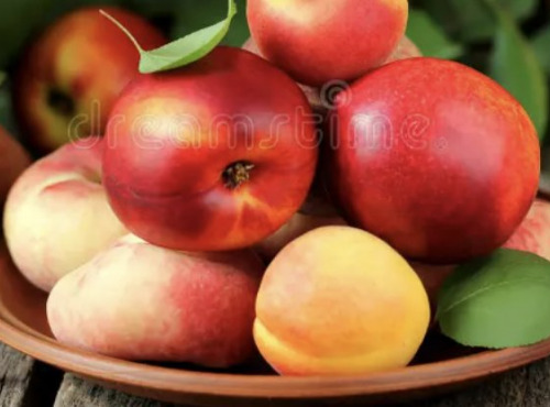 L’Oliveraie du Coudon - PANIER DE FRUITS ( ABRICOTS / PECHE / NECTARINE / PECHE PLATE ) 8KGG