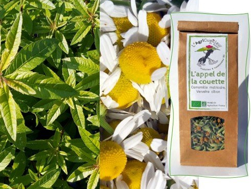 L'Agricueilleur du Suzon - Infusion L'Appel de la couette BIO