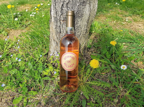 Domaine de Pilhoy - Vin Rosé AOC Bordeaux - 6x75cl