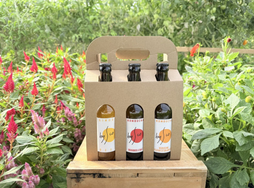 Nature et Saveurs - Ferme Aquaponique et Permacole Astérienne - Coffret Kombucha Bio Bysco - 6x33cl