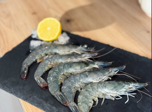 Agriloops - Gambas de Bretagne 5kg -(calibre 30 - 50)