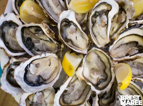 Brest Marée - Plateau Huîtres Creuses ouvertes