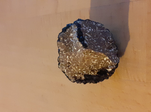 Les Vergers de la Vautée - Truffe de Bourgogne Fraîche