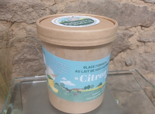 Les Pâturettes de Bodavel - Glace Citron 4x480ml