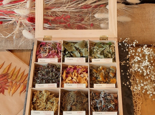 Les Viandes du Forez - Coffret de Noël bois vitré assortiment de 9 plantes sauvages séchées bio