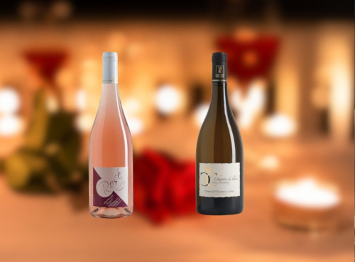 Domaine de la Chopinière du Roy - À deux c’est mieux - Coffret Duo vin Blanc aromatique et Rosé Fruité pour couple - 2 x 75 cl