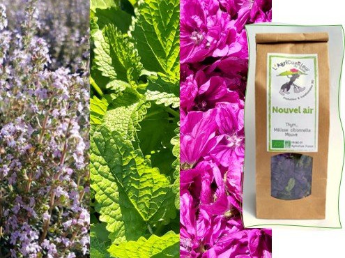 L'Agricueilleur du Suzon - Infusion Nouvel air BIO