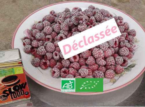 LES JARDINS DE KARINE - Framboises surgelées déclassées à cuire - 0.5kg