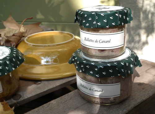 Les Moulins Aufiés - Rillettes de canard 85g