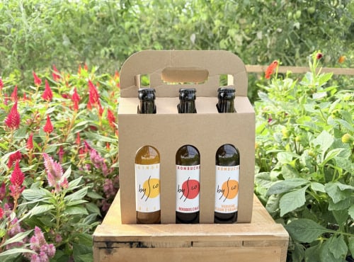 Nature et Saveurs - Ferme Aquaponique et Permacole Astérienne - Coffret Kombucha Bio Bysco - 6x33cl