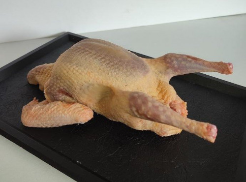 Ferme Bleu Canard - Pigeonneau 420g