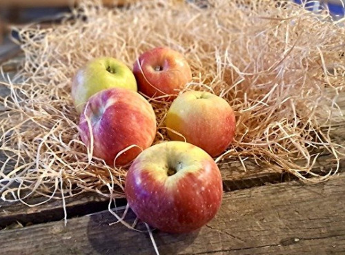 Les Jardins de Gérard - Pomme La Belle Rouge Bio - 1 kg