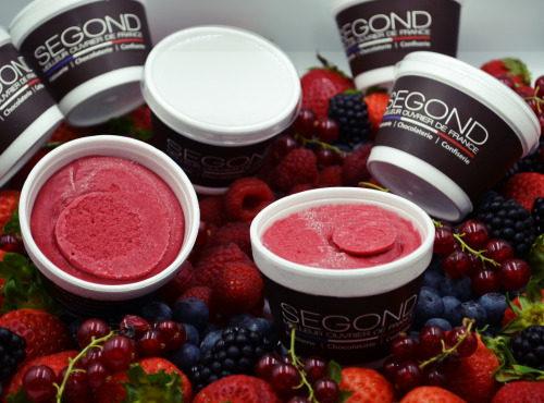 Philippe Segond MOF Pâtissier-Confiseur - 6 pots de sorbets aux fruits rouges (6 x 160ml)