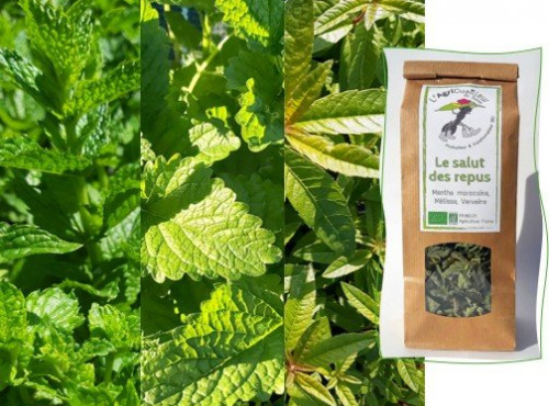 L'Agricueilleur du Suzon - Infusion Salut des repus BIO