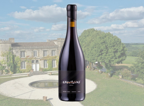 Domaine Sauvagine - Sauvagine Rouge - Vin Bio & cépage résistant