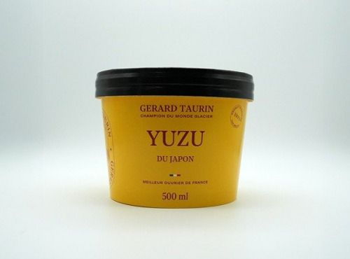 GT Designer Glacier - Sorbet Yuzu Japonais 500ml