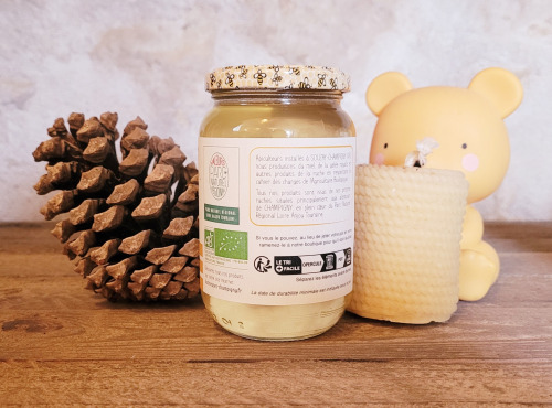 Les Butineuses de Champigny - Miel d'acacia bio - 500g