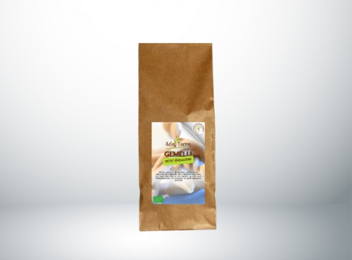 Adal Terra - Pâtes - Gemelli de Petit Epeautre Biodynamique 500G