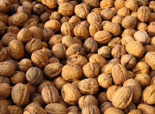 Ferme de Carcouet - Noix - 1 kg