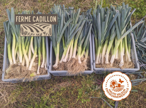 Ferme Cadillon - Poireaux - HVE