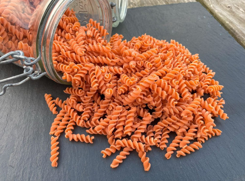 La Ferme du Joyeux Laboureur - Pâtes 100% lentilles corail en vrac 1kg