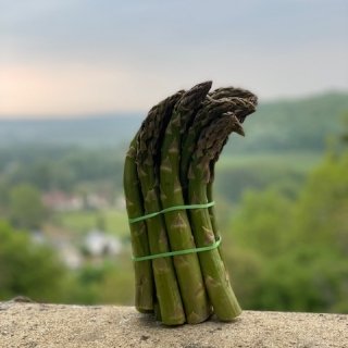 Les Asperges et Framboises du Soissonnais - Asperges Vertes