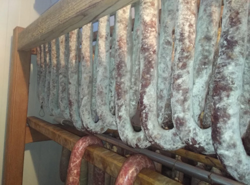 Le Noir du Picou Elodie Ribas - Saucisse Sèche de Foie de Porc Gascon Bio Entière