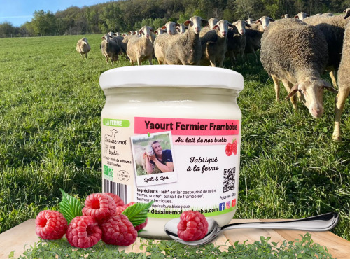 Dessine moi une brebis - Yaourt Brebis Framboise 320g