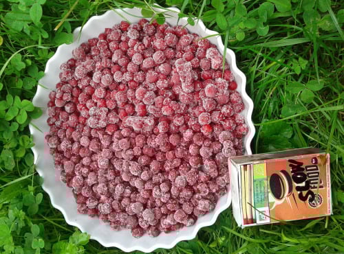 LES JARDINS DE KARINE - Groseilles rouges surgelées - 3kg