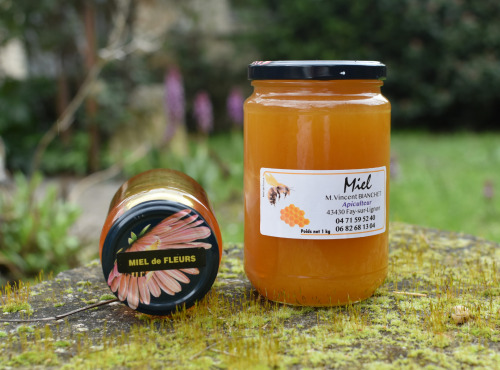 La Truite du Mézenc - Miel de Fleurs - 1kg