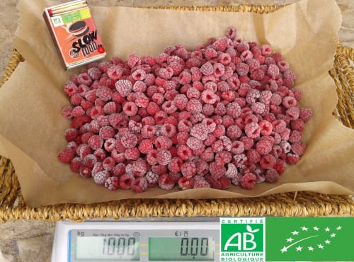 LES JARDINS DE KARINE - Framboise surgelée - 1kg