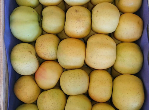 Le Verger de Crigne - Pommes Chantecler Bio (grand Calibre) - 11kg