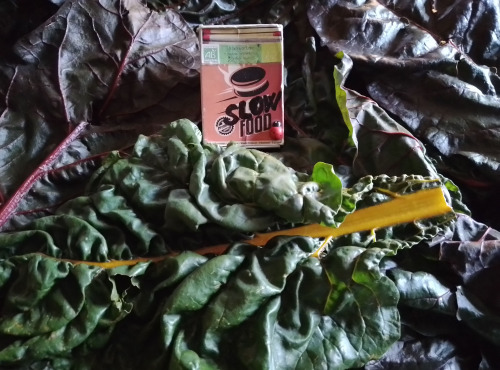 LES JARDINS DE KARINE - Feuilles de blette surgelées - 1kg