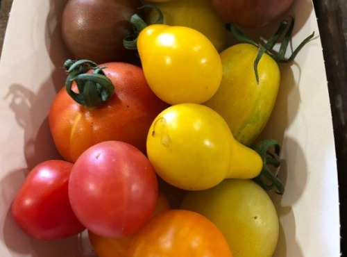 ChâteauFer - Tomate cerise - Assortiment
