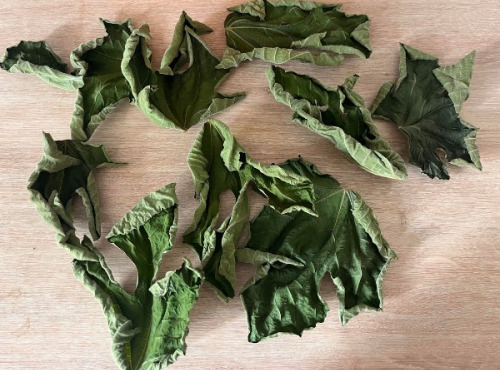 Domaine du Chillou - Feuilles de figuier Bio séché