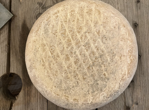 SCEA Brebis du Berry - Tomme affinée