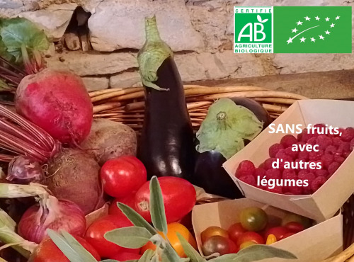 LES JARDINS DE KARINE - PANIER modulable / Légumes bios ROUGE VIOLET