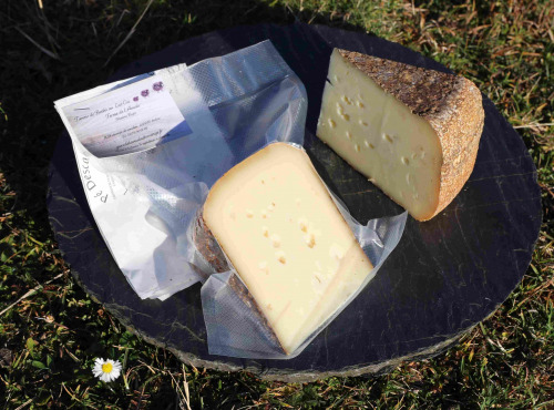 Maxime Bajas – Ferme De L’Aouda - Fromage de brebis PéDescaous –  Printemps 5 mois – 500g