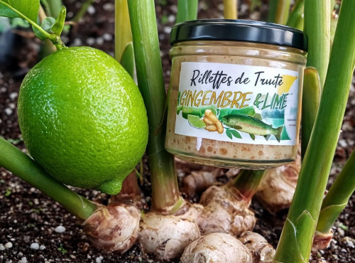 Nature et Saveurs - Ferme Aquaponique et Permacole Astérienne - Rillettes de Truite Blanche Lime & Gingembre de la Ferme