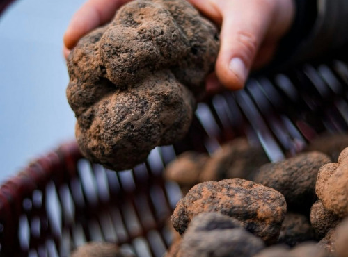 Naturélium - Brisures de truffe noire surgelées